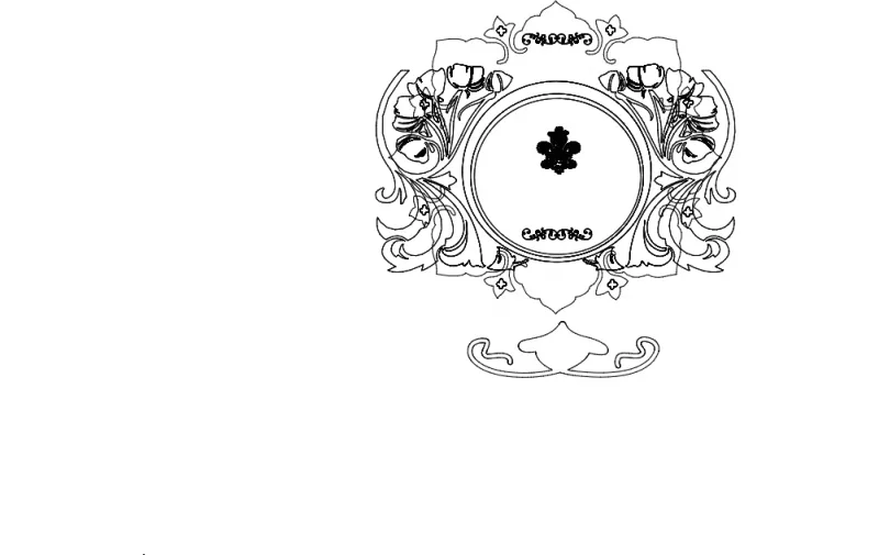 Desenli Ayna Çerçevesi-51