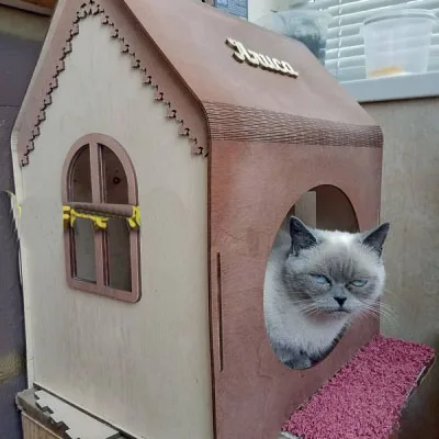 Kedi Evi
