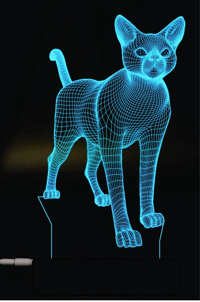 3D Kedi Gece Lambası