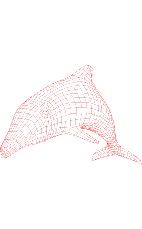 3D Balina Gece Lambası