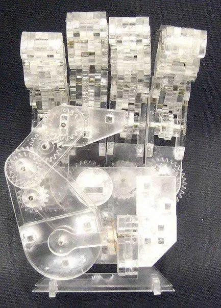 3D El Düzeni Puzzle