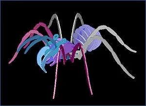 3D Örümcek Puzzle 