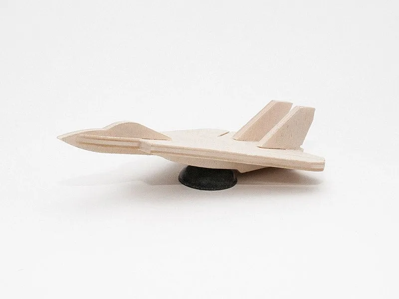 Mini F-14 Tomcat