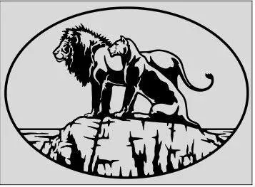 Aslan Duvar Dekoru