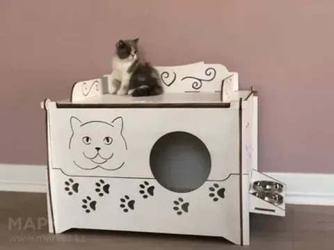 Kedi Evi