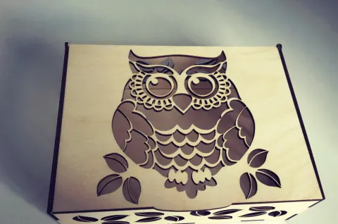 Baykuş Desenli Kutu