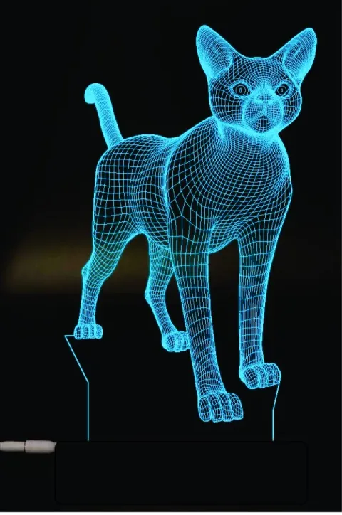 3D Kedi Gece Lambası