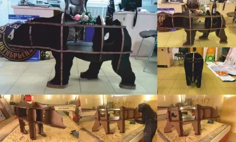 3D Ayı Raf Puzzle