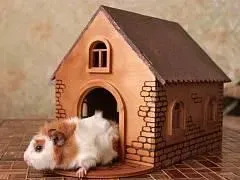3D Tavşan Evi Puzzle 