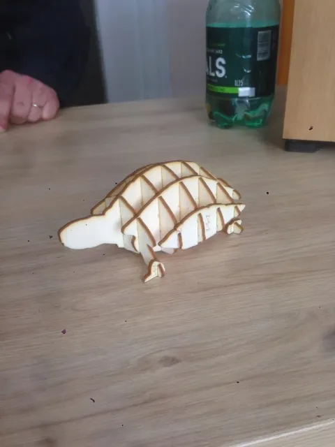 3D Kamlumbağa Puzzle-4