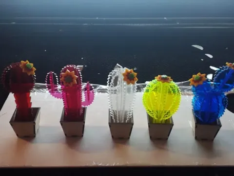 3D Mini Kaktüs 