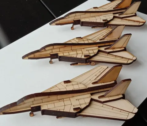 Oyuncak F-14 Tomcat Panda Fighter 3D Uçak Şablonu