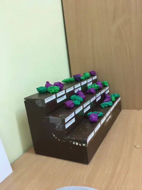 3 Raflı Stand
